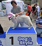 Winner of Dog&Style Show